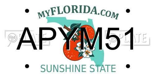 APYM51 Florida License Plate