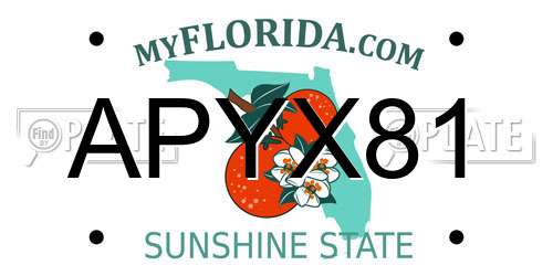 APYX81 Florida License Plate