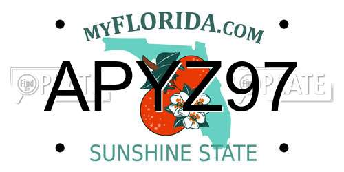 APYZ97 Florida License Plate
