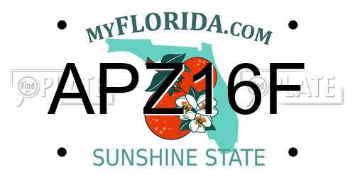 APZ16F Florida License Plate