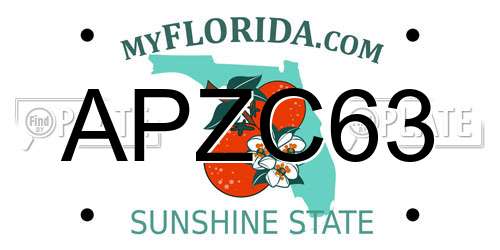 APZC63 Florida License Plate