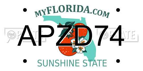 APZD74 Florida License Plate