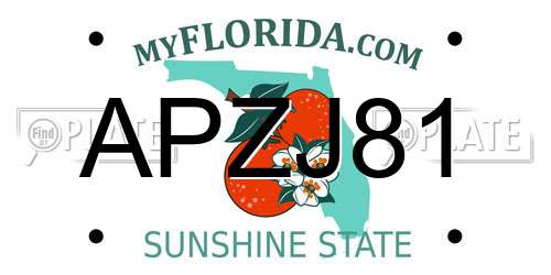 APZJ81 Florida License Plate