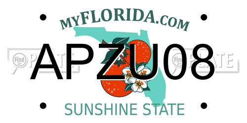 APZU08 Florida License Plate