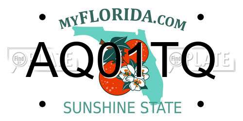 AQ01TQ Florida License Plate