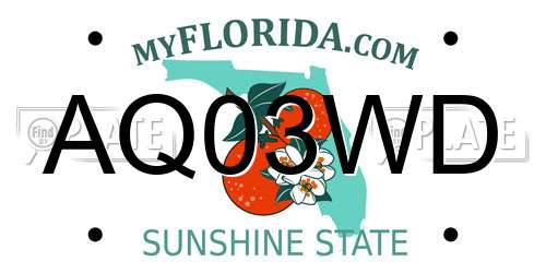 AQ03WD Florida License Plate