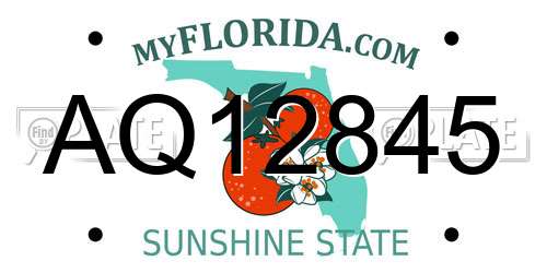 AQ12845 Florida License Plate