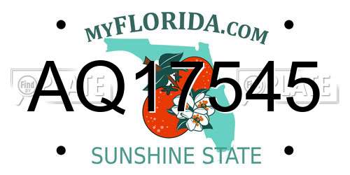 AQ17545 Florida License Plate