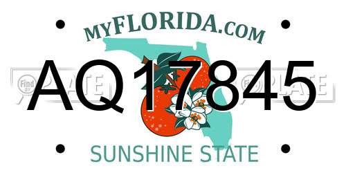 AQ17845 Florida License Plate