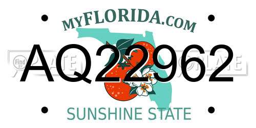 AQ22962 Florida License Plate