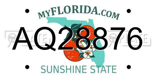 AQ28876 Florida License Plate