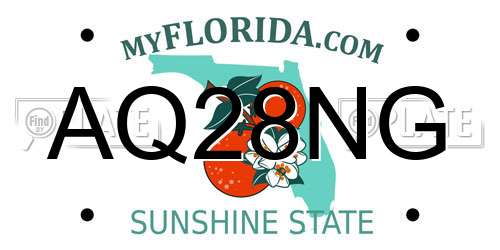 AQ28NG Florida License Plate