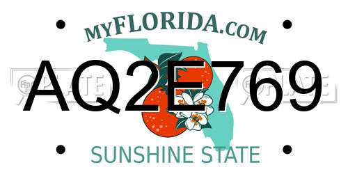 AQ2E769 Florida License Plate