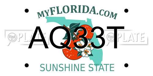 AQ33T Florida License Plate