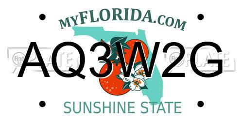 AQ3W2G Florida License Plate