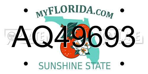 AQ49693 Florida License Plate