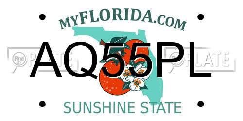 AQ55PL Florida License Plate