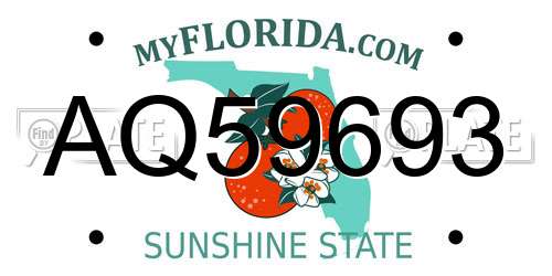AQ59693 Florida License Plate