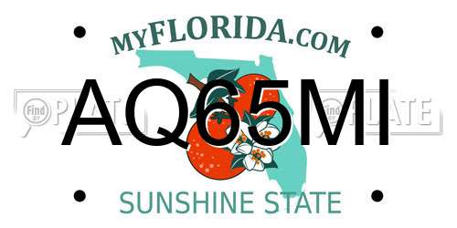 AQ65MI Florida License Plate