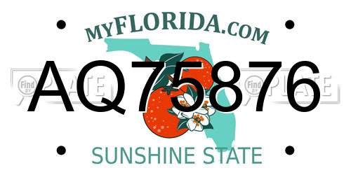 AQ75876 Florida License Plate
