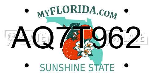 AQ7T962 Florida License Plate