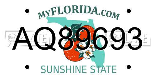 AQ89693 Florida License Plate