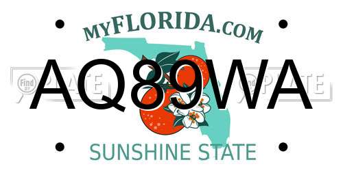 AQ89WA Florida License Plate