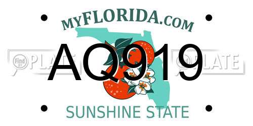 AQ919 Florida License Plate