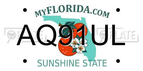 AQ91UL Florida License Plate