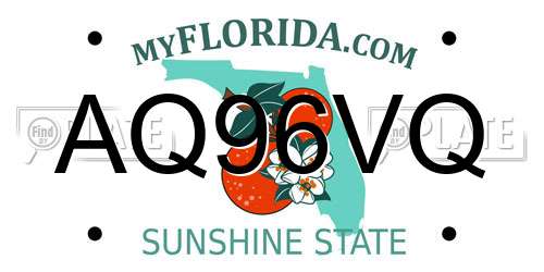 AQ96VQ Florida License Plate