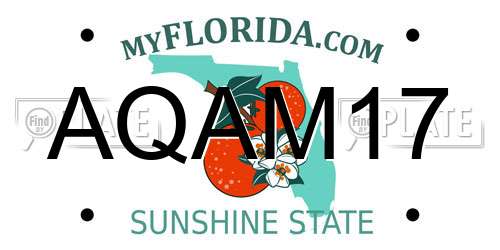 AQAM17 Florida License Plate