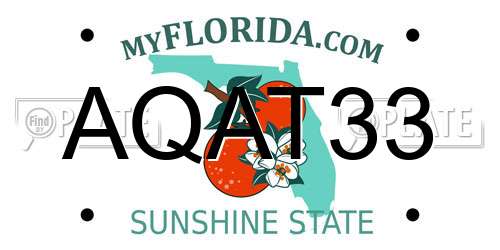 AQAT33 Florida License Plate