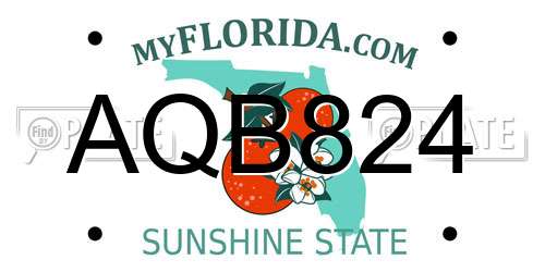 AQB824 Florida License Plate