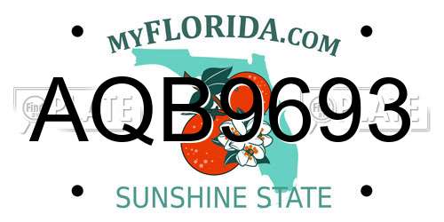 AQB9693 Florida License Plate