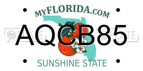 AQCB85 Florida License Plate