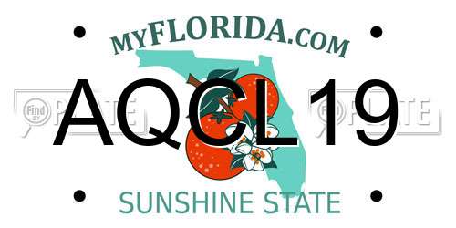 AQCL19 Florida License Plate