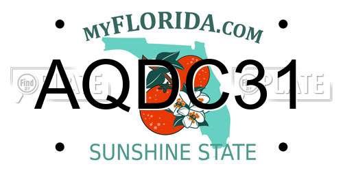 AQDC31 Florida License Plate