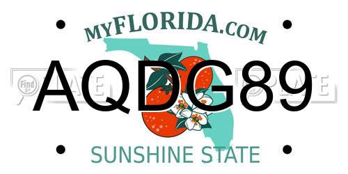 AQDG89 Florida License Plate