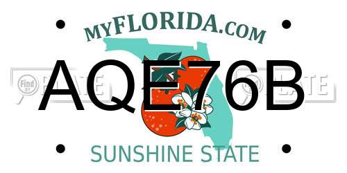 AQE76B Florida License Plate
