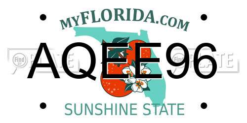 AQEE96 Florida License Plate