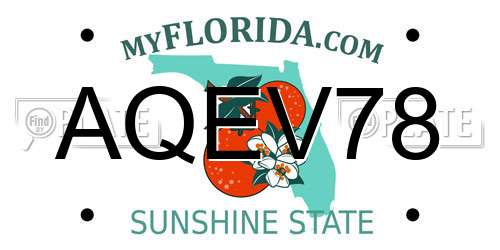 AQEV78 Florida License Plate
