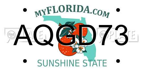AQGD73 Florida License Plate