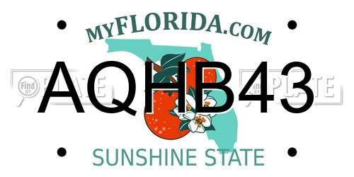 AQHB43 Florida License Plate