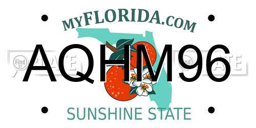 AQHM96 Florida License Plate