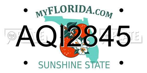 AQI2845 Florida License Plate