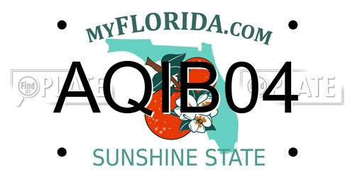 AQIB04 Florida License Plate