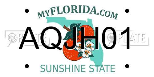 AQJH01 Florida License Plate