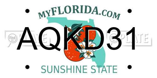 AQKD31 Florida License Plate