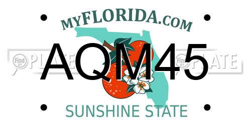 AQM45 Florida License Plate