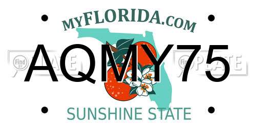 AQMY75 Florida License Plate